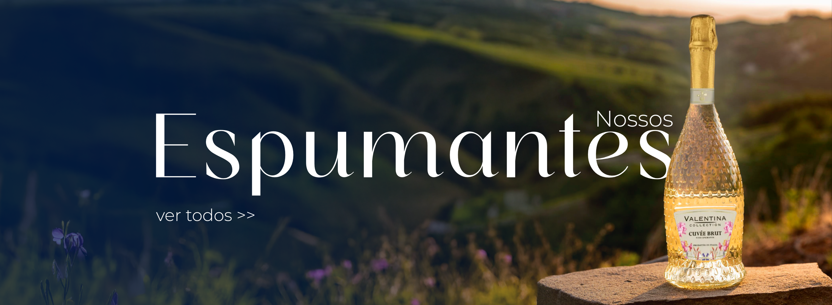banner fixo direito ao vinho espumantes